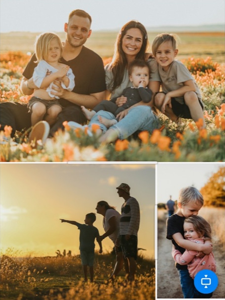 A three-photo collage: a family in a field of flowers on top, a sunset silhouette and two kids hugging below